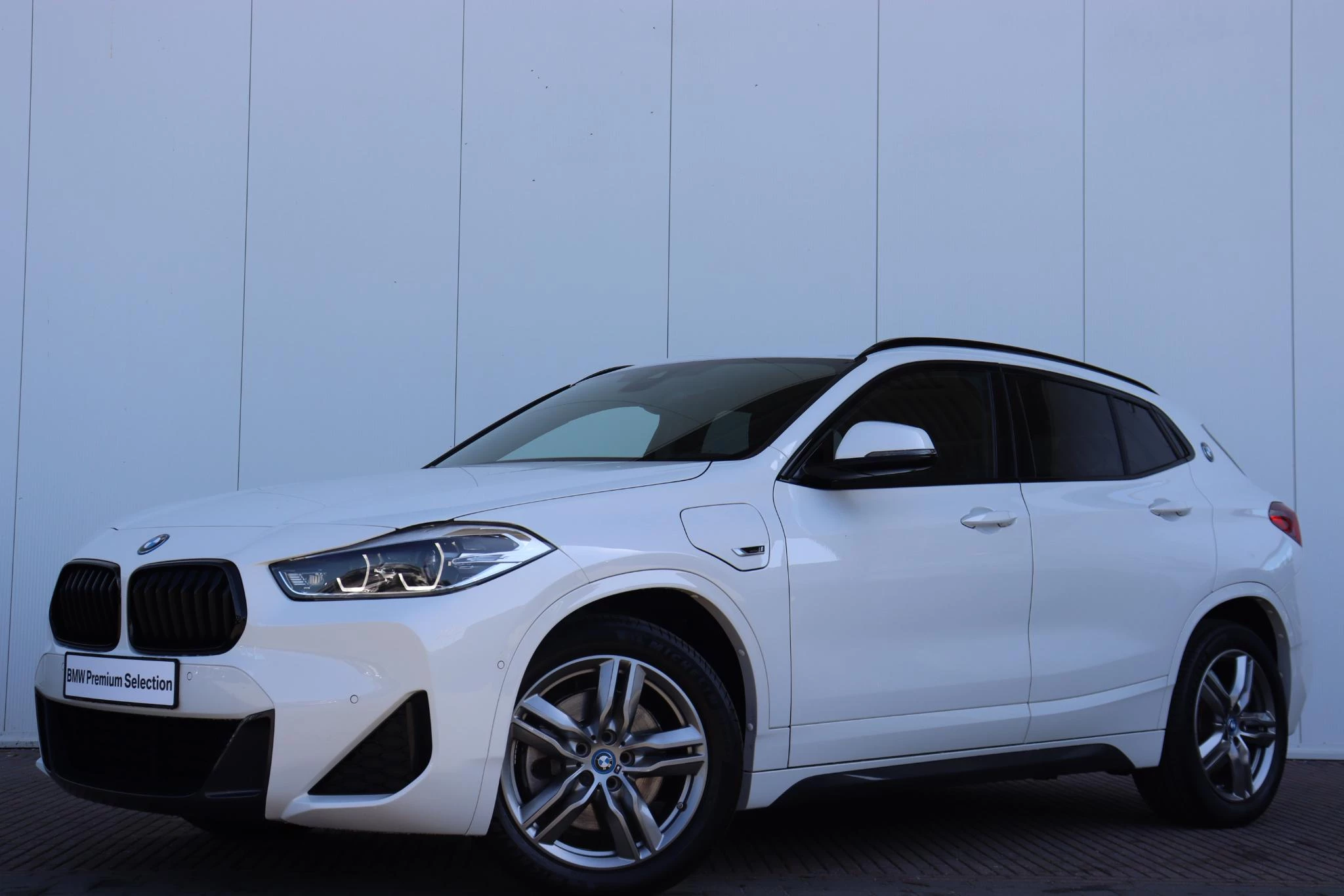 Hoofdafbeelding BMW X2