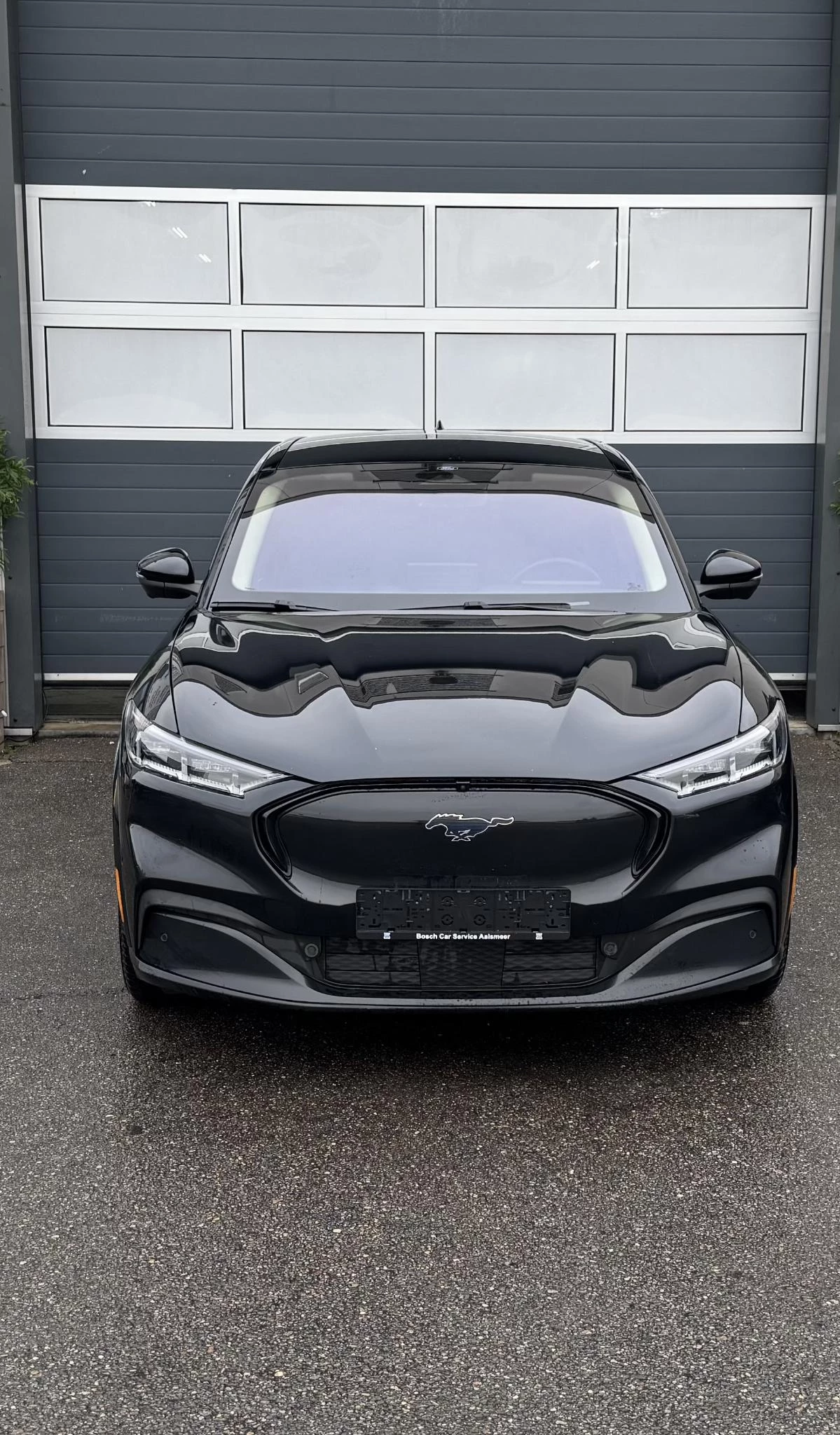 Hoofdafbeelding Ford Mustang Mach-E