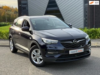 Opel Grandland X 1.2 Turbo Business Edition | Cruise | Trekhaak |