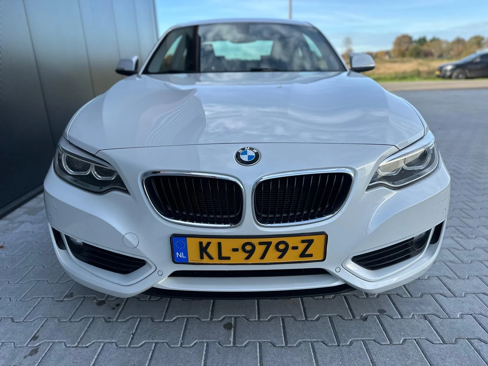 Hoofdafbeelding BMW 2 Serie