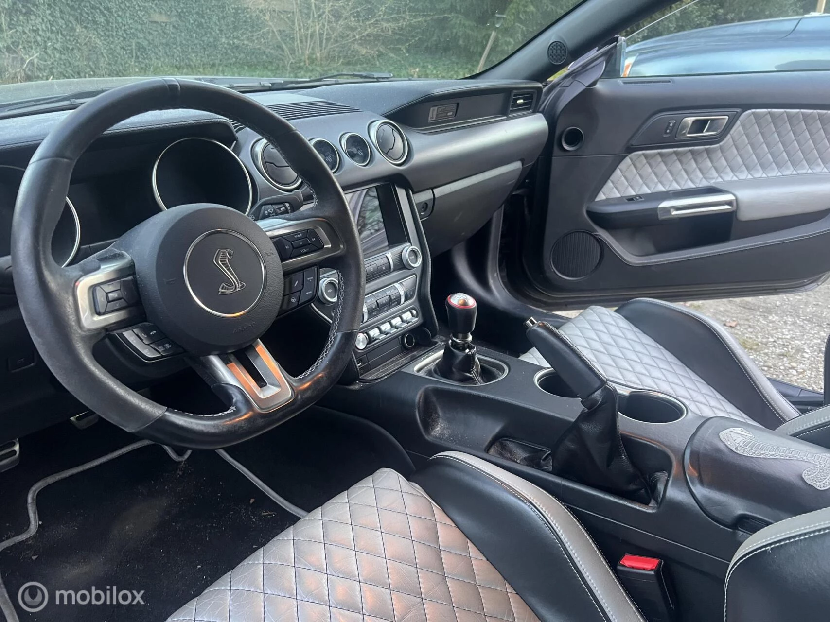 Hoofdafbeelding Ford GT