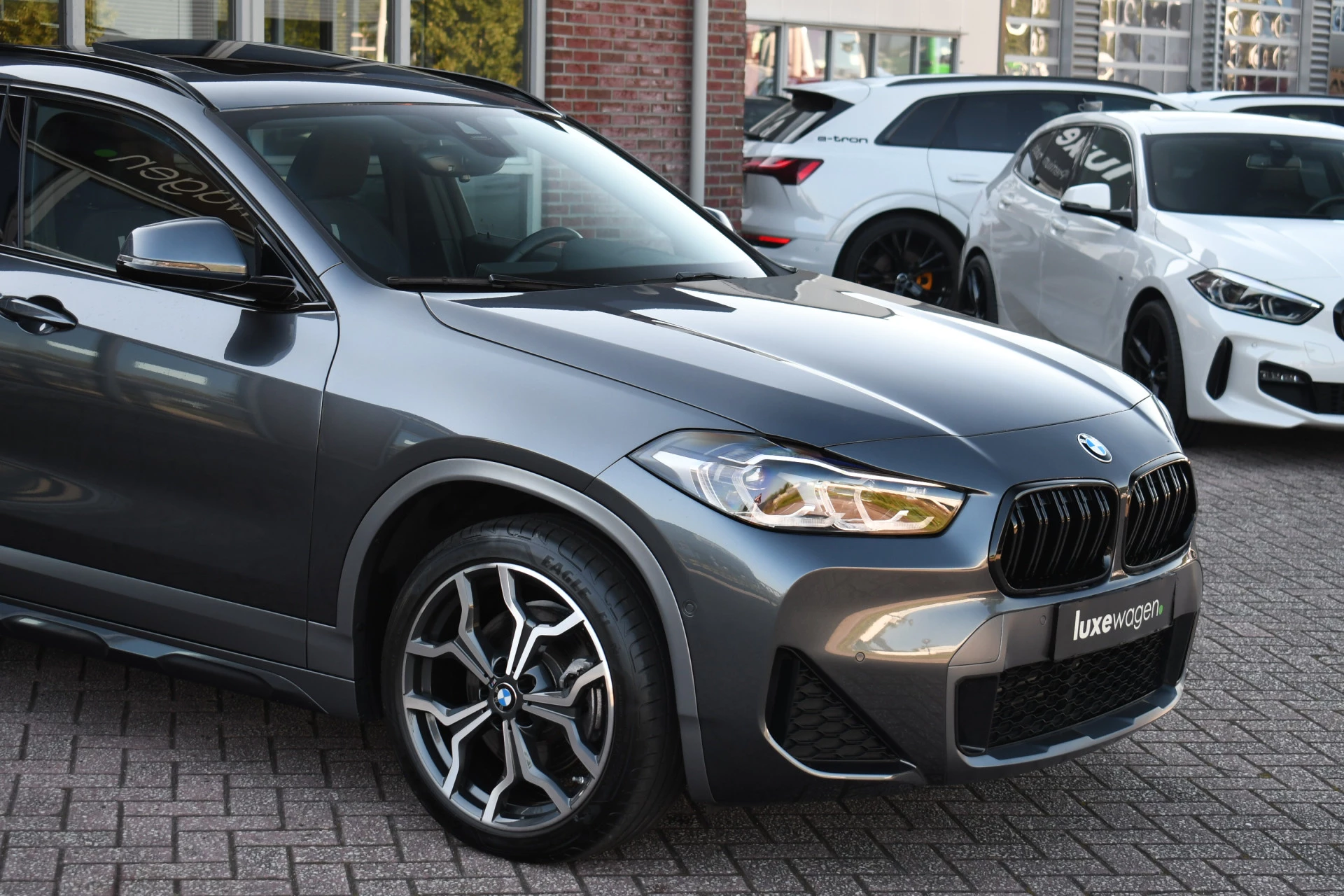 Hoofdafbeelding BMW X2