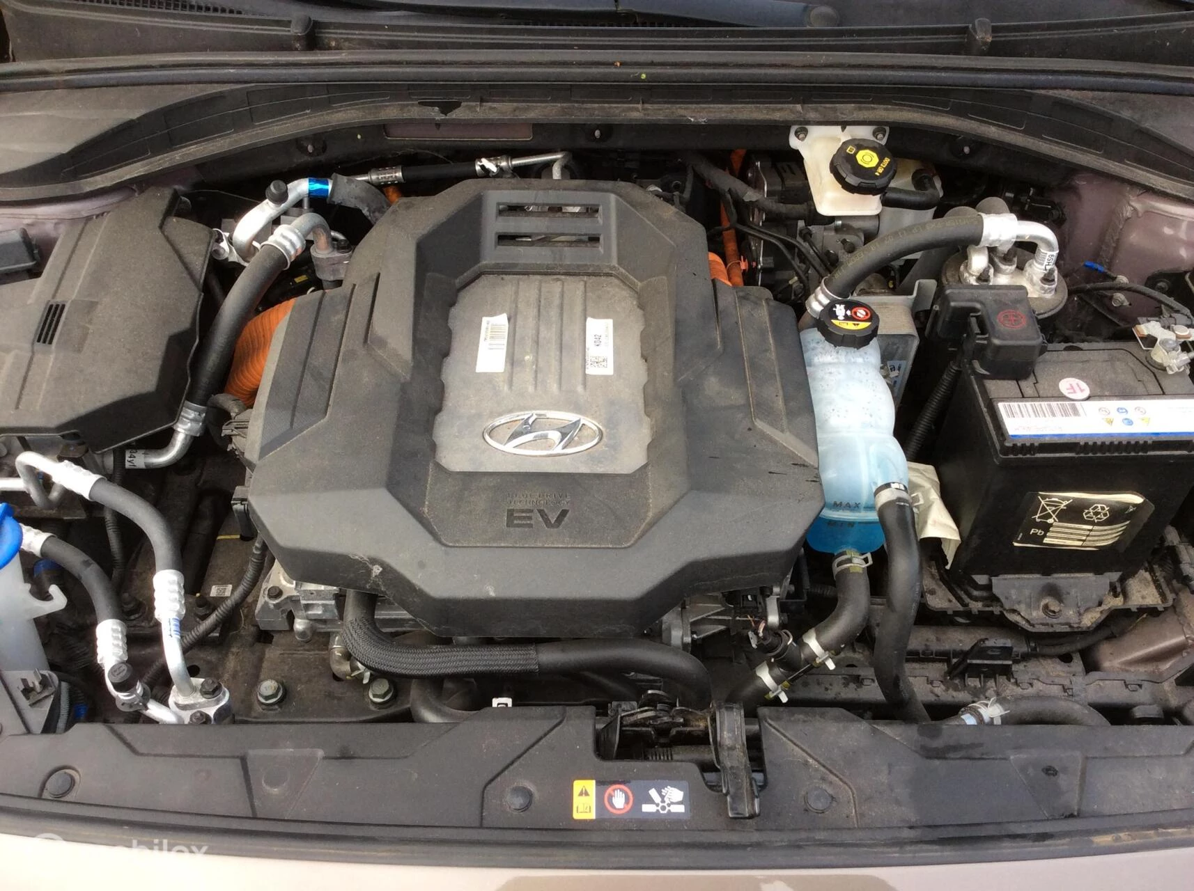 Hoofdafbeelding Hyundai IONIQ