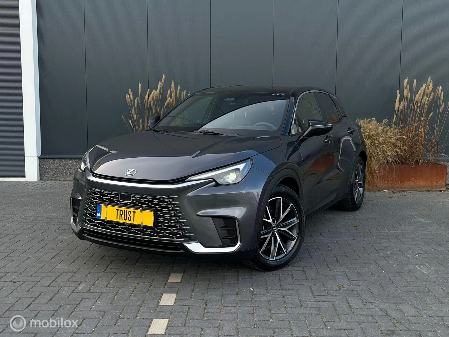 Hoofdafbeelding Lexus LBX