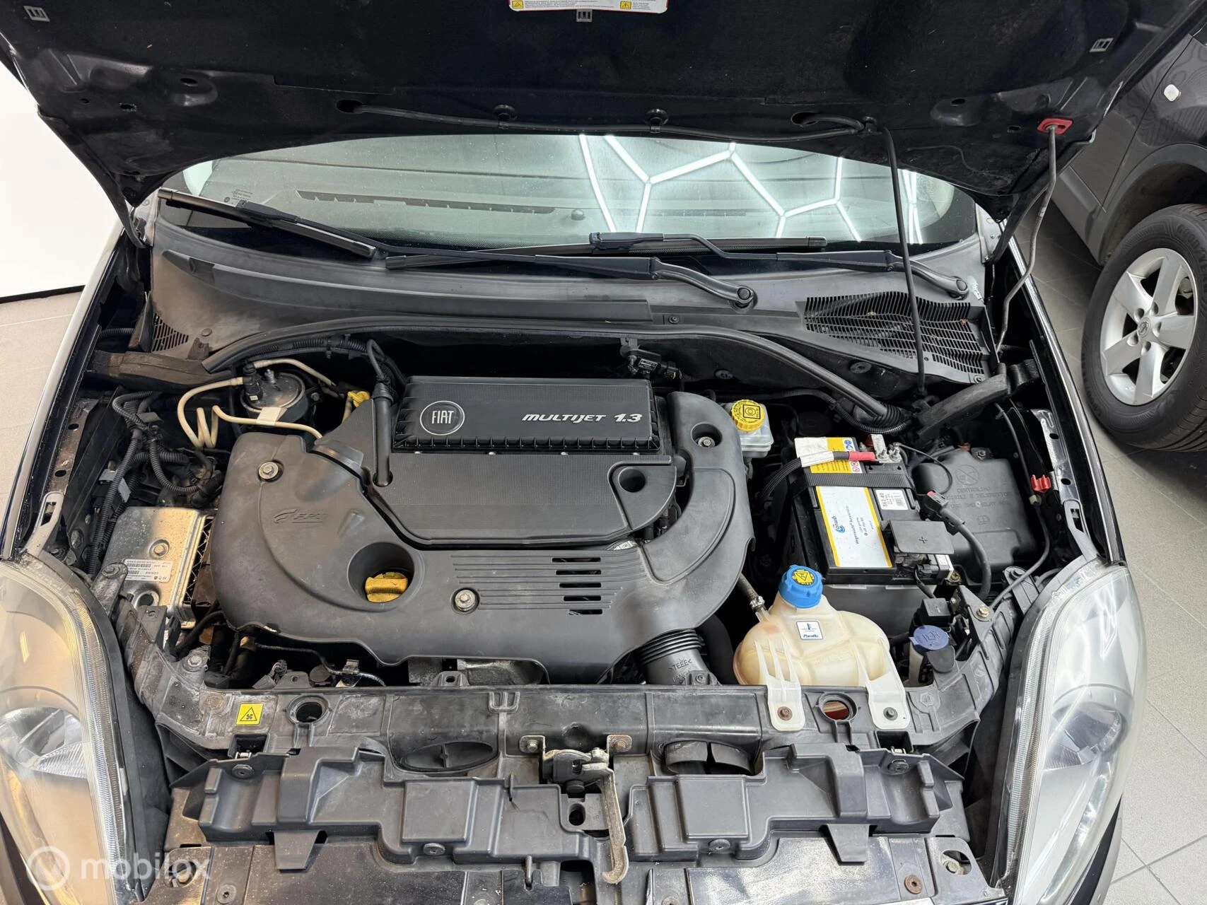 Hoofdafbeelding Fiat Punto