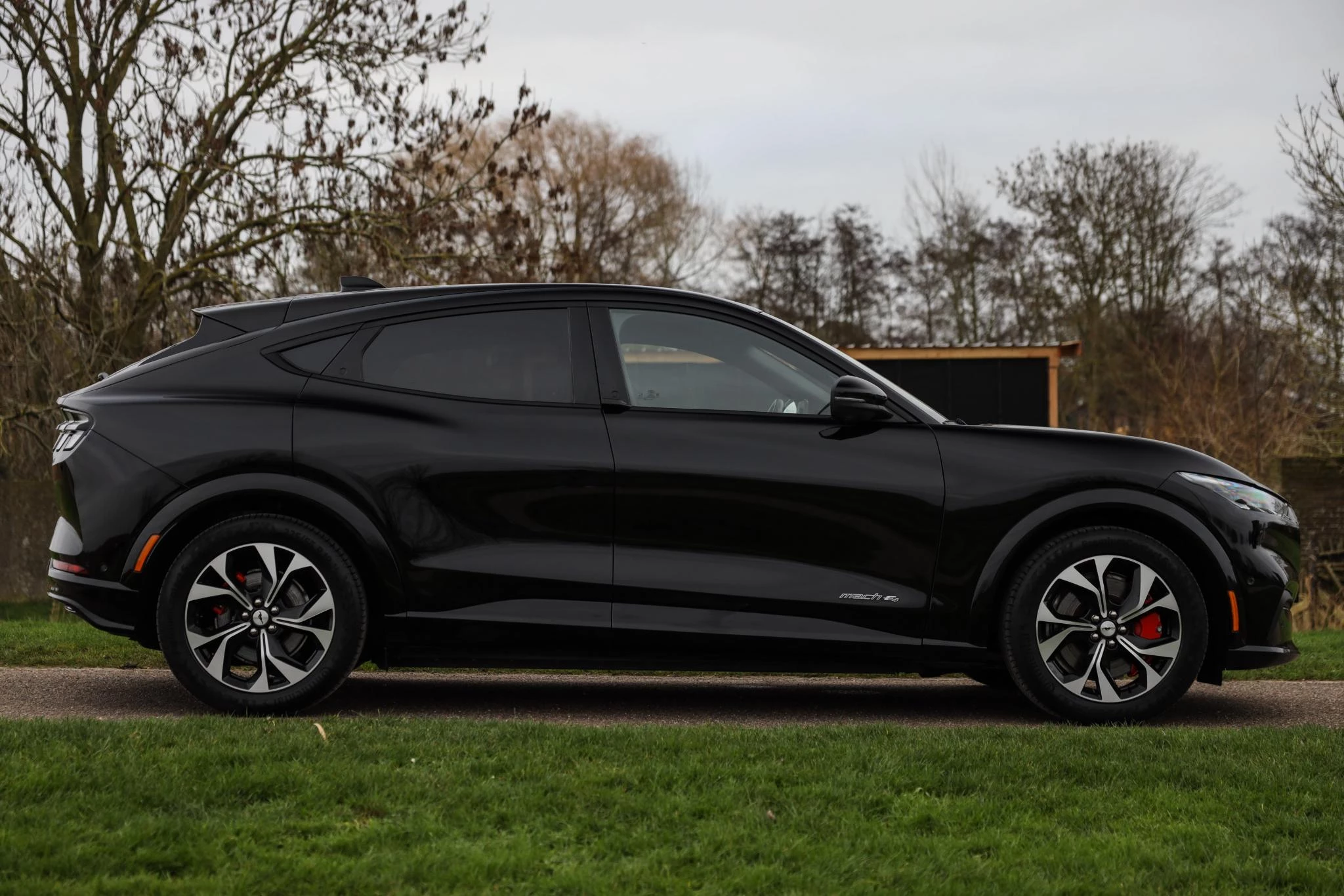 Hoofdafbeelding Ford Mustang Mach-E