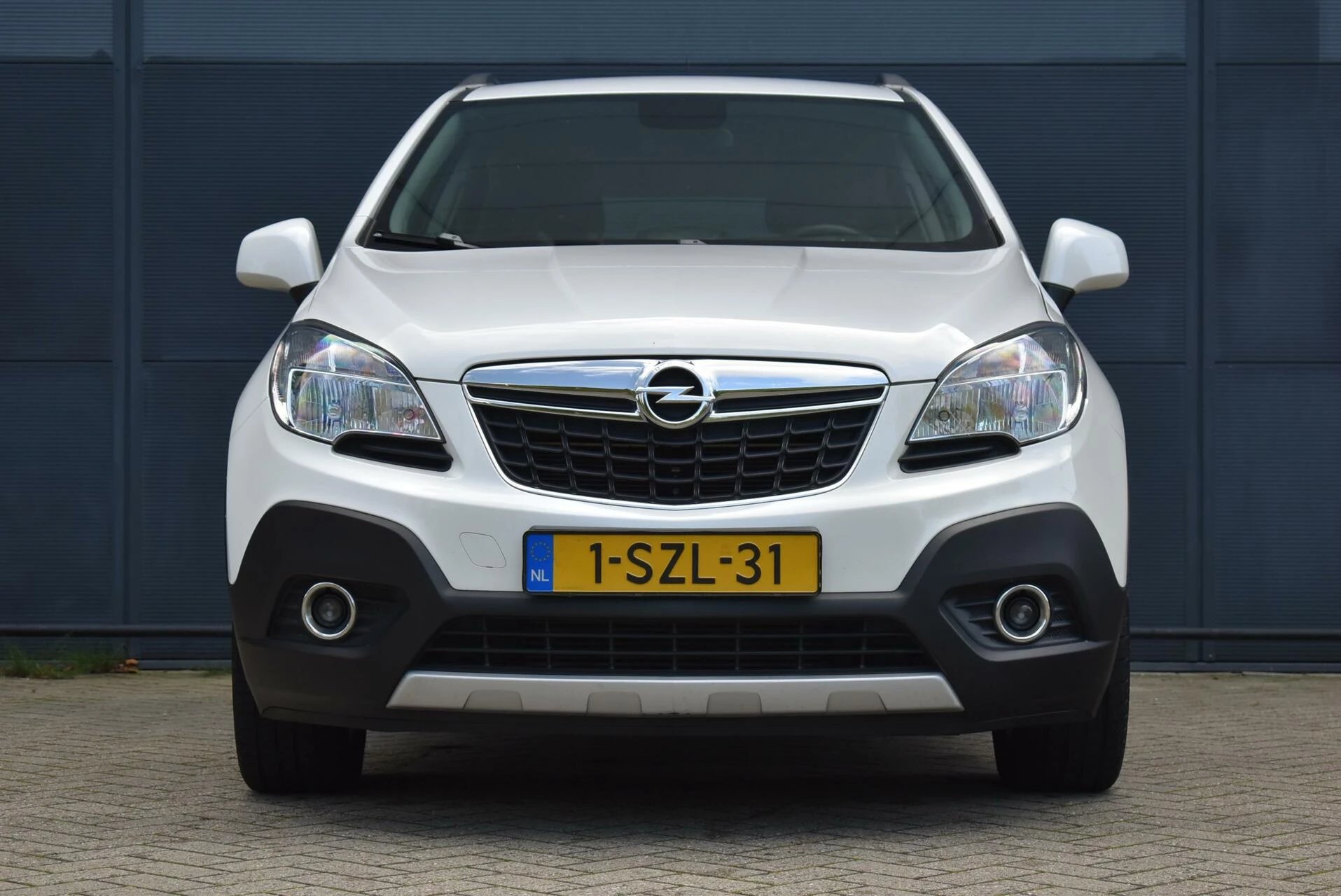 Hoofdafbeelding Opel Mokka