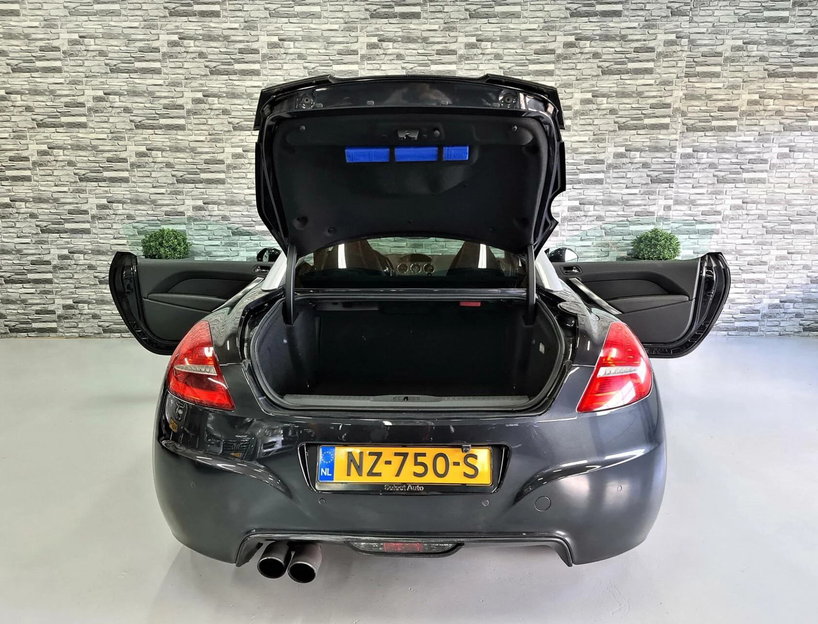 Hoofdafbeelding Peugeot RCZ