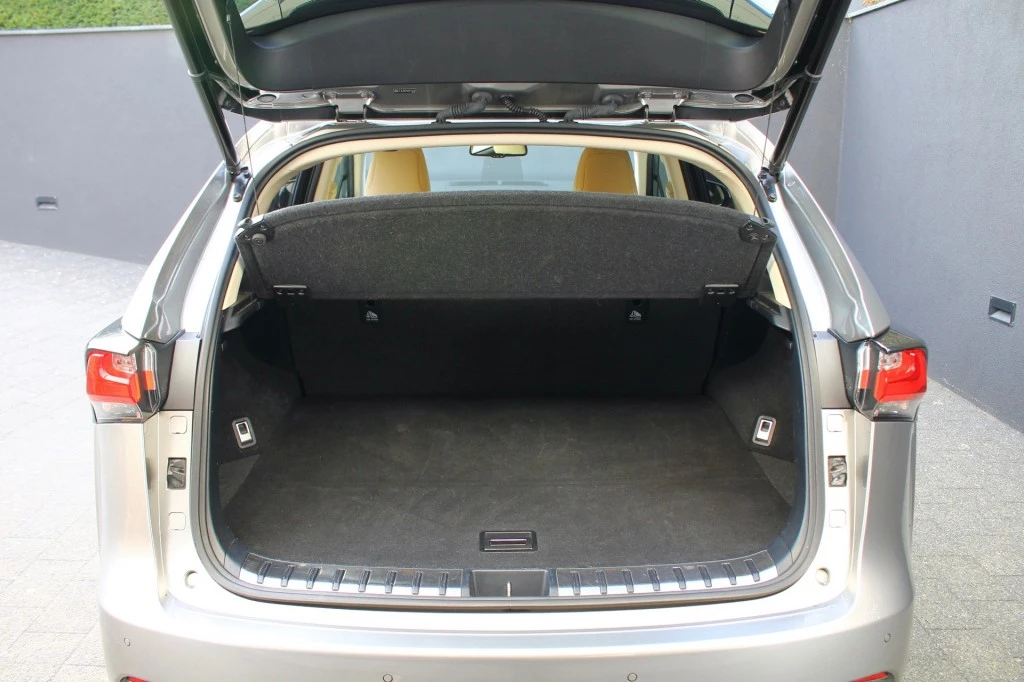 Hoofdafbeelding Lexus NX