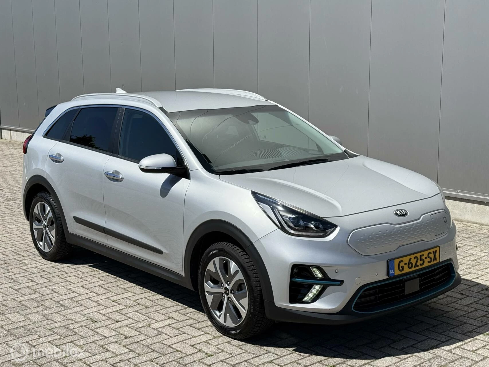 Hoofdafbeelding Kia e-Niro
