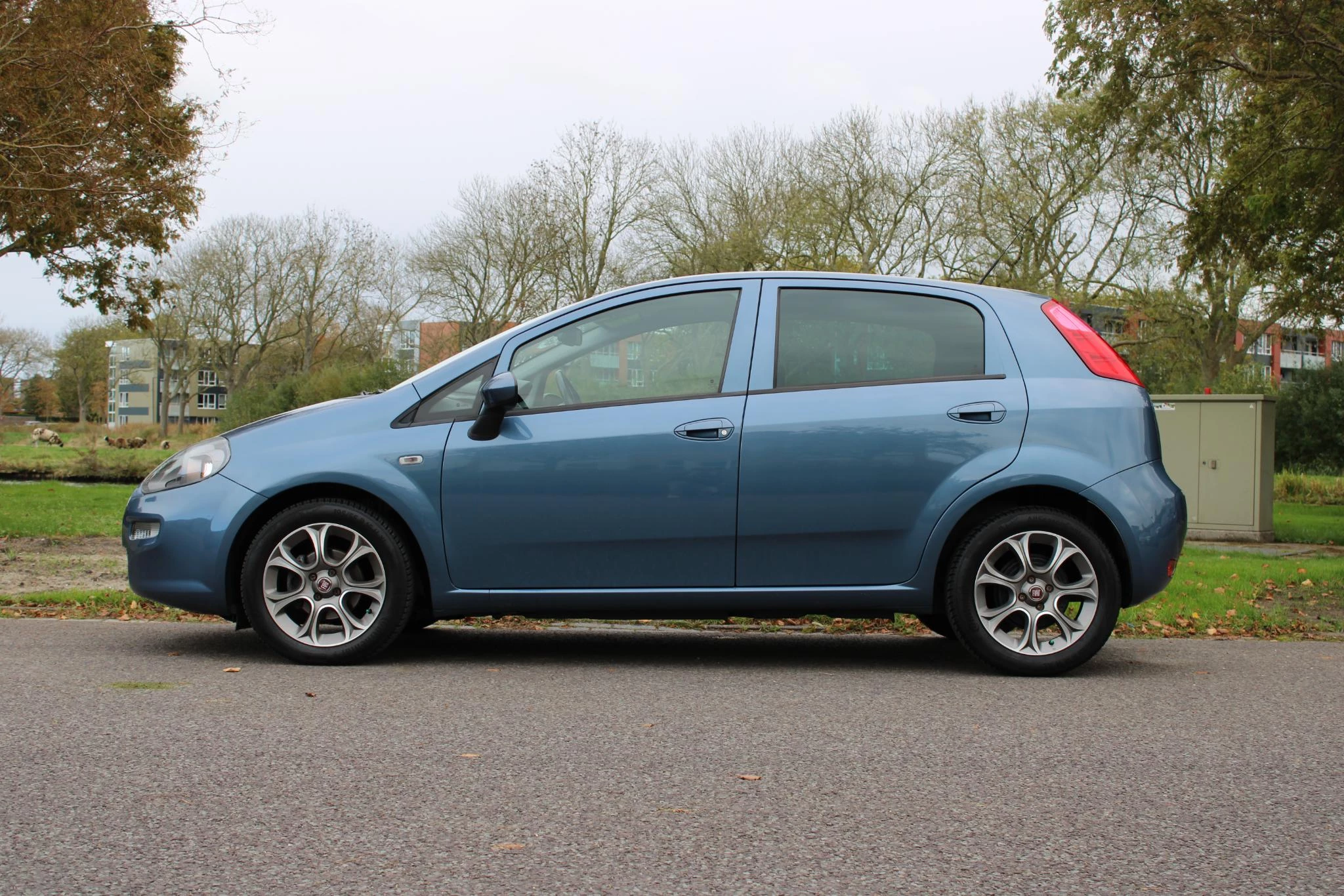 Hoofdafbeelding Fiat Punto