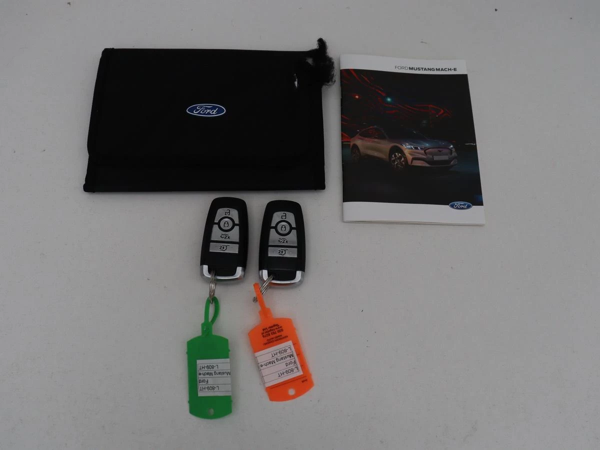 Hoofdafbeelding Ford Mustang Mach-E