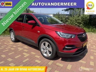 Opel Grandland X 1.6 Turbo Hybrid Business Edition