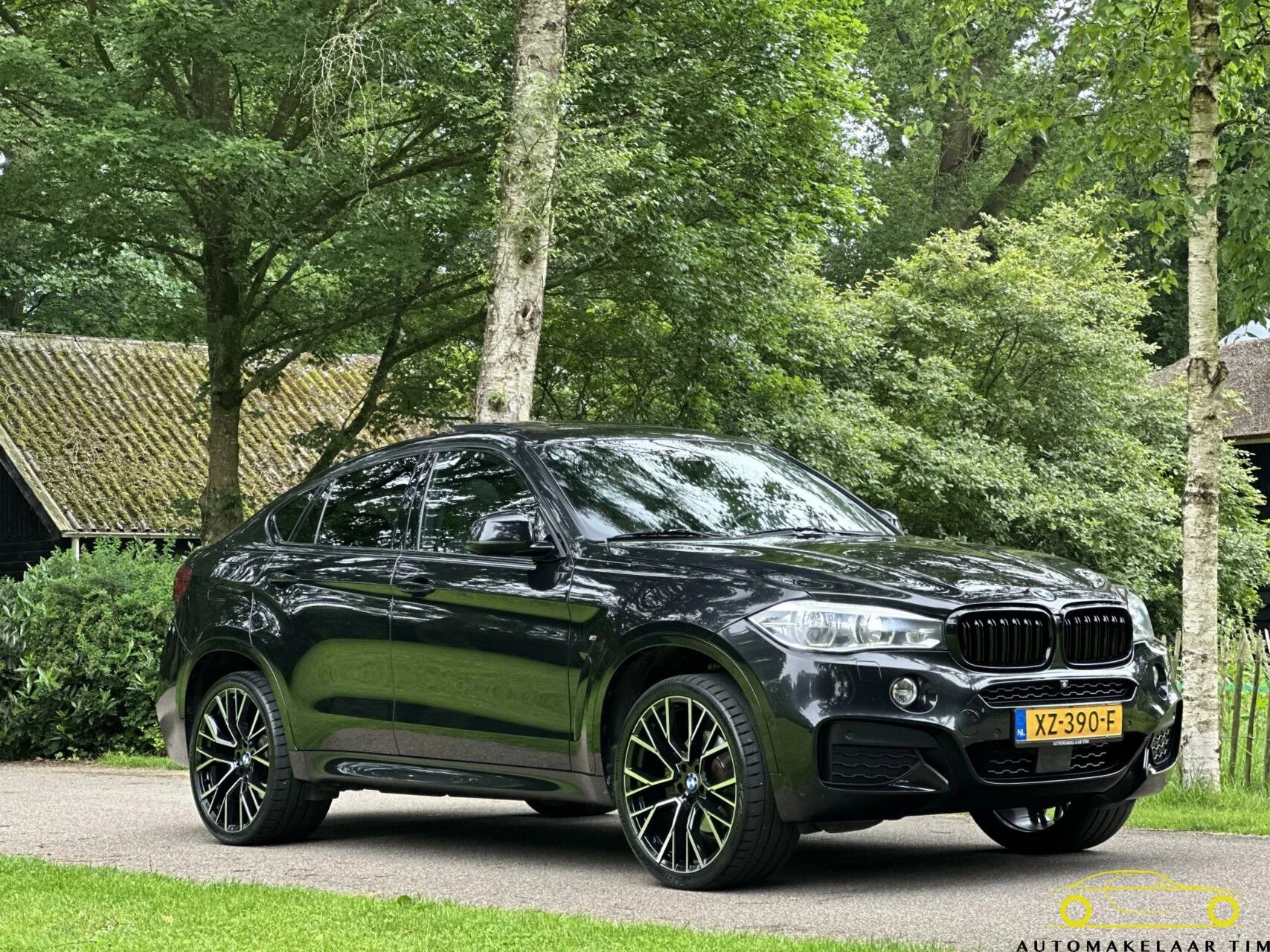 Hoofdafbeelding BMW X6