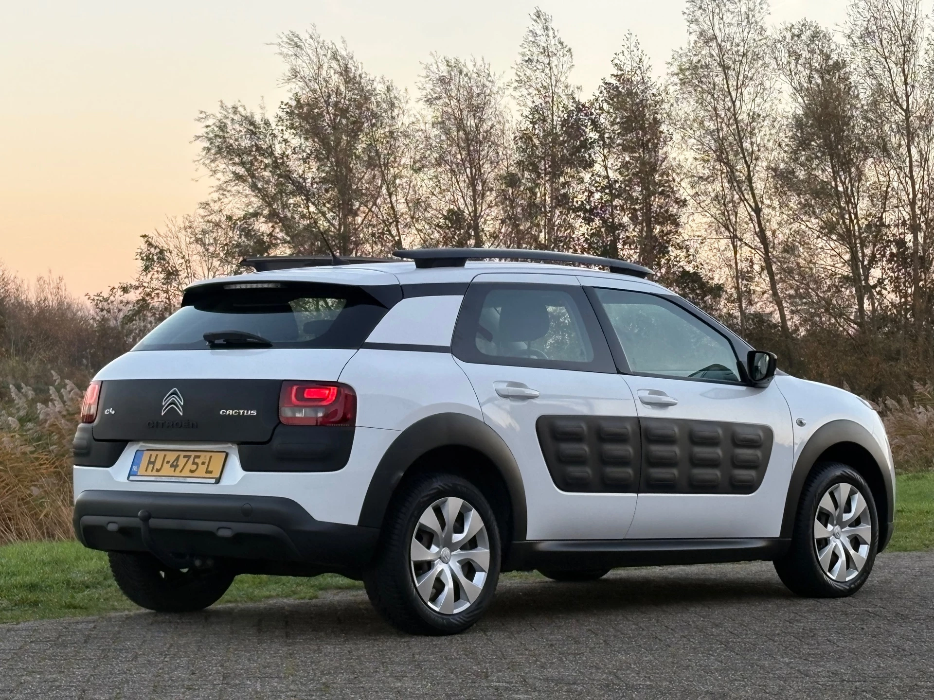 Hoofdafbeelding Citroën C4 Cactus