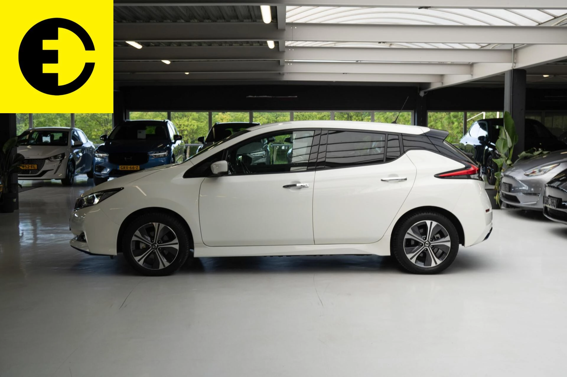 Hoofdafbeelding Nissan Leaf