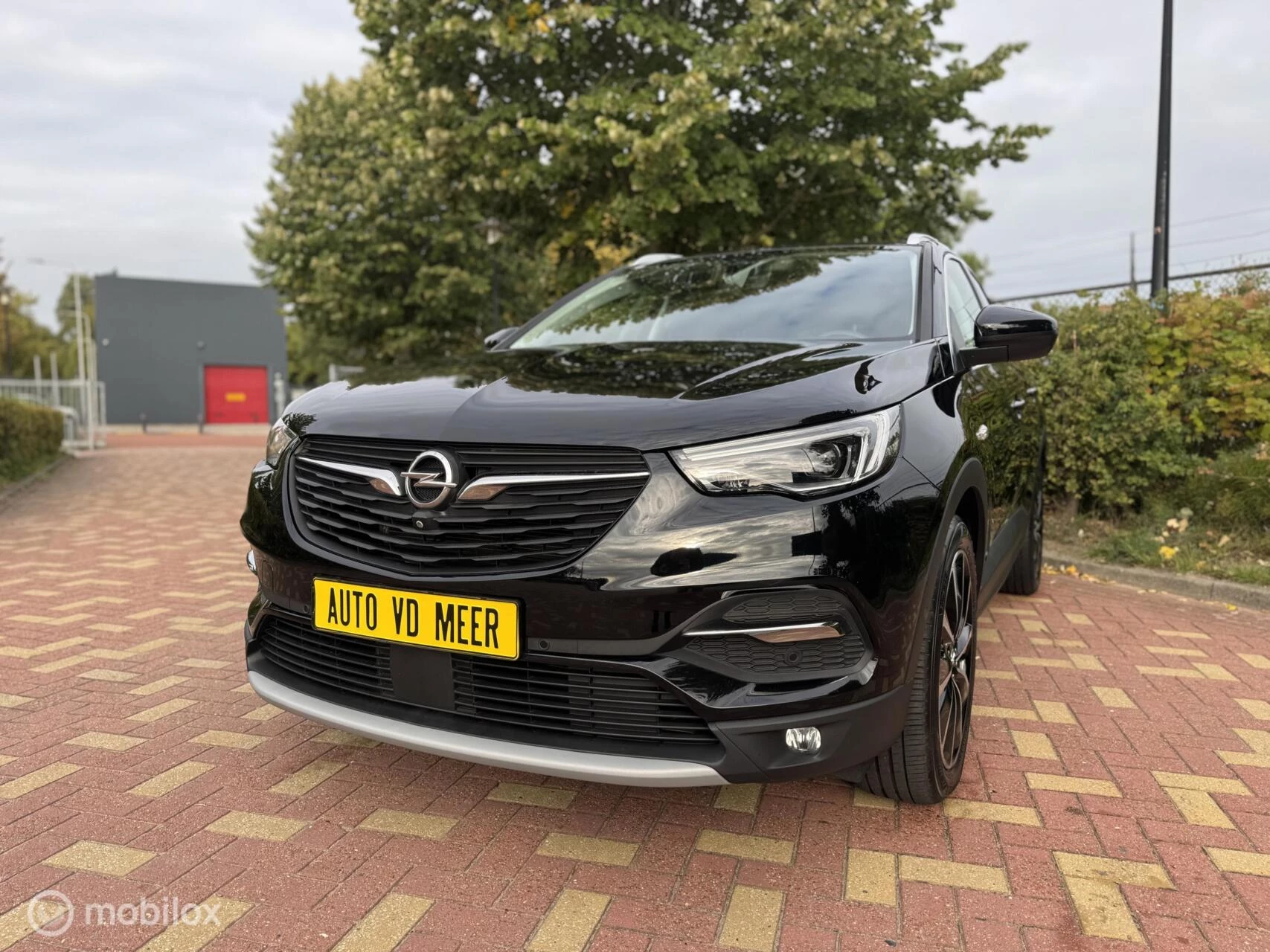 Hoofdafbeelding Opel Grandland X