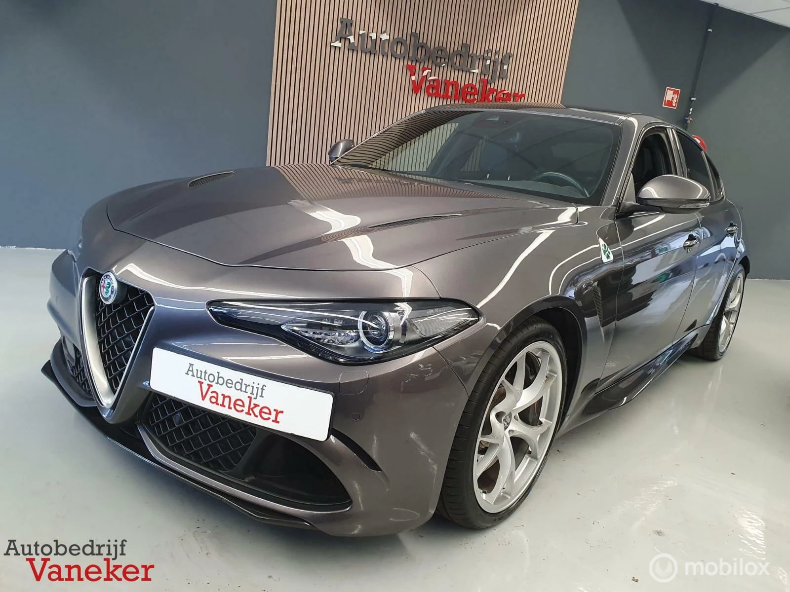 Hoofdafbeelding Alfa Romeo Giulia