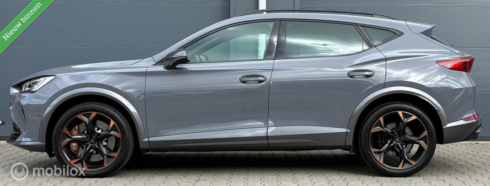 Hoofdafbeelding CUPRA Formentor
