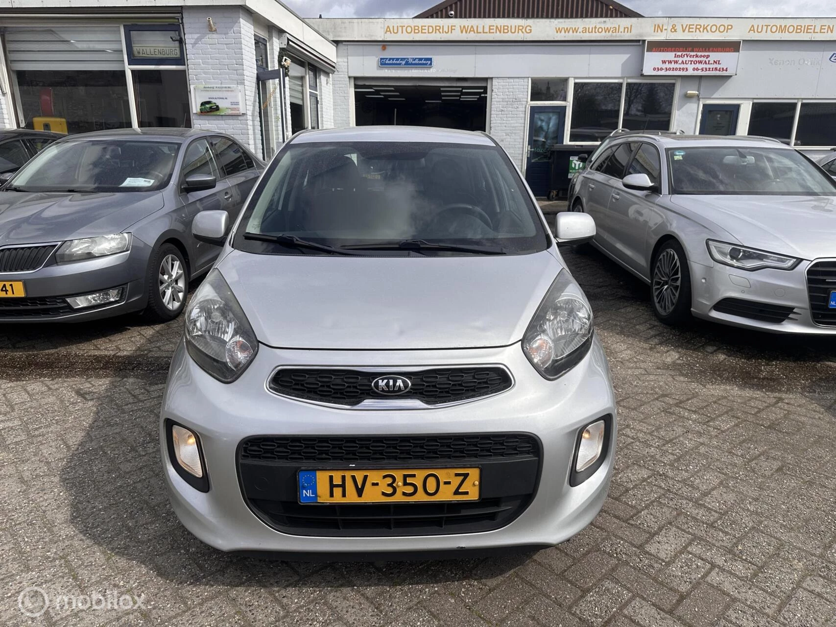 Hoofdafbeelding Kia Picanto