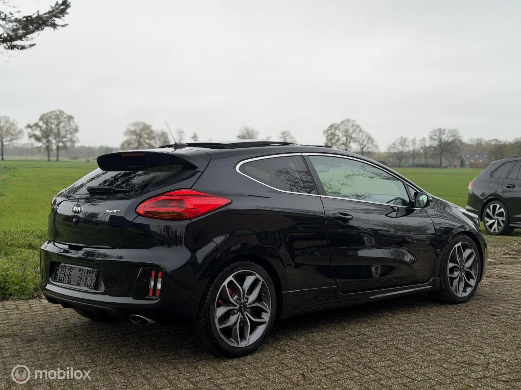 Hoofdafbeelding Kia pro_cee'd