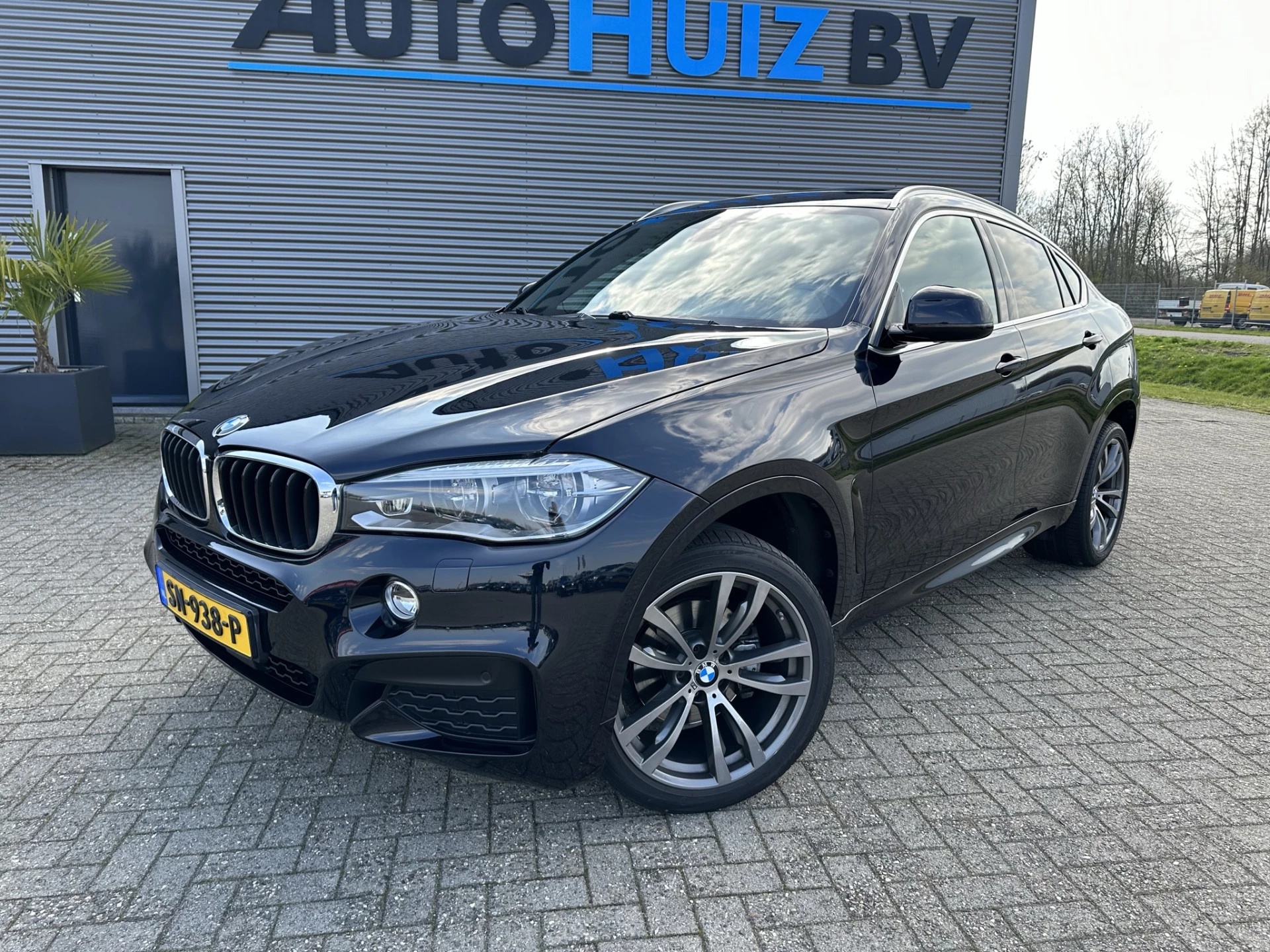 Hoofdafbeelding BMW X6