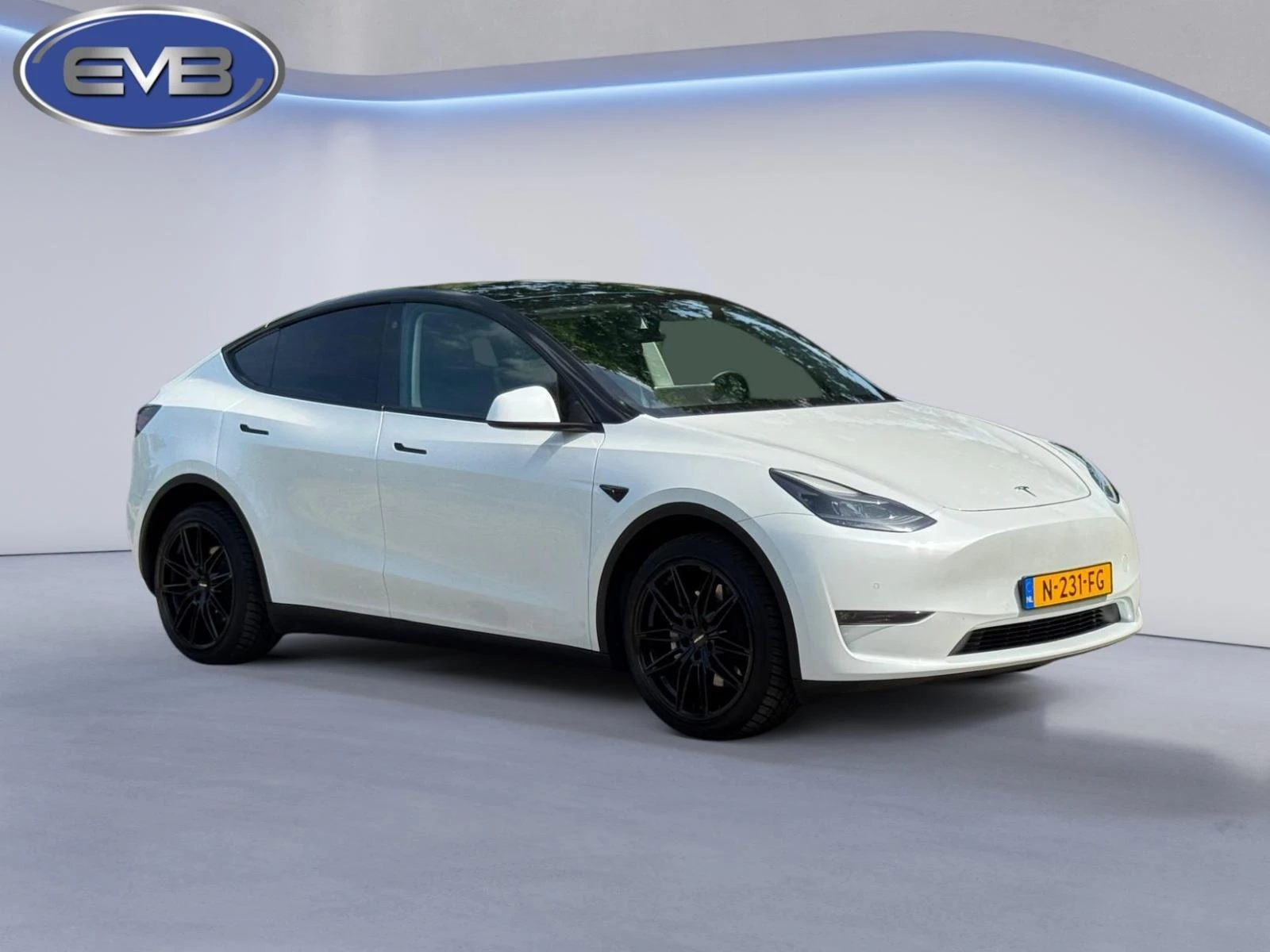 Hoofdafbeelding Tesla Model Y