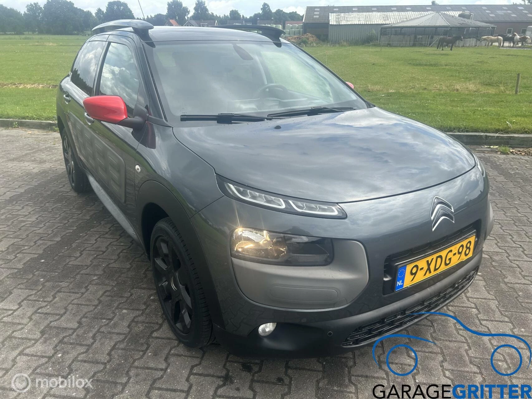 Hoofdafbeelding Citroën C4 Cactus