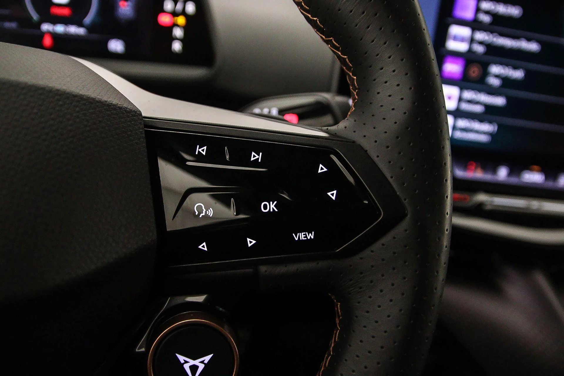 Hoofdafbeelding CUPRA Tavascan