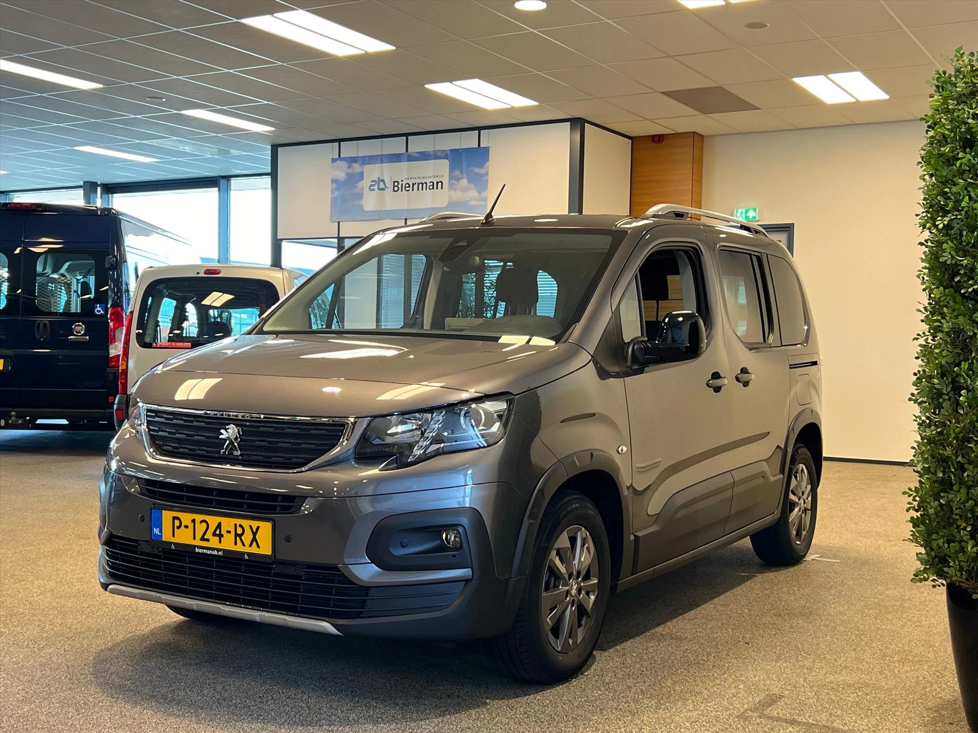 Hoofdafbeelding Peugeot Rifter