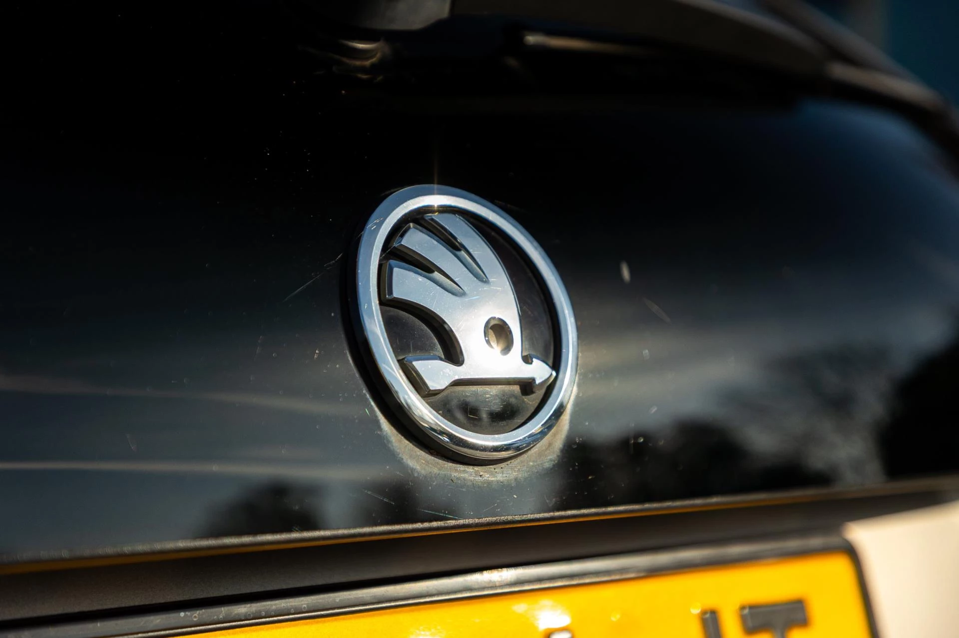 Hoofdafbeelding Škoda Rapid