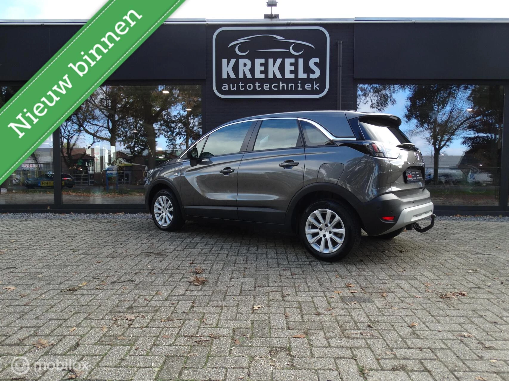 Hoofdafbeelding Opel Crossland