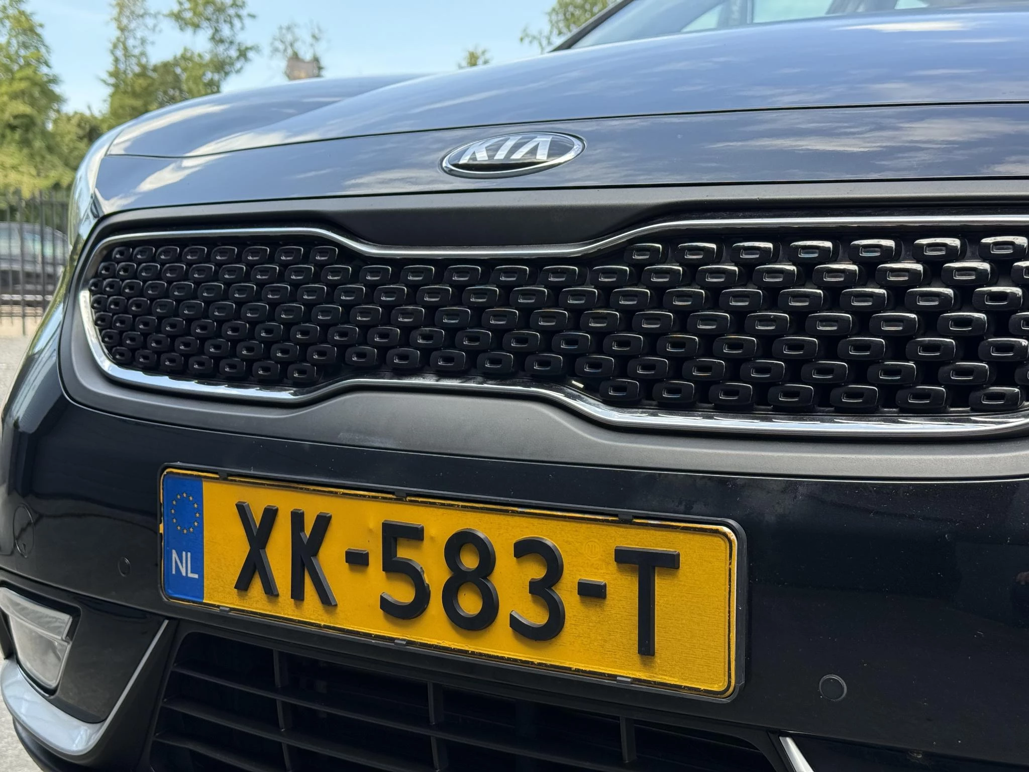 Hoofdafbeelding Kia Niro