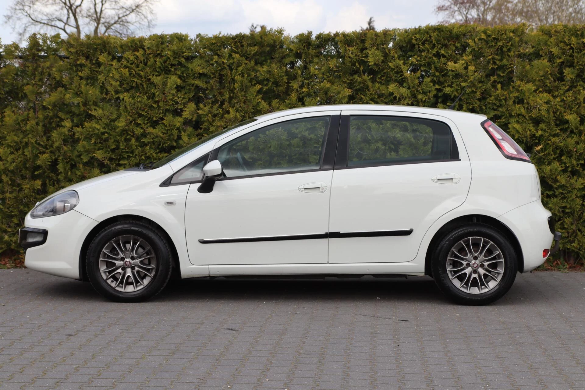 Hoofdafbeelding Fiat Punto