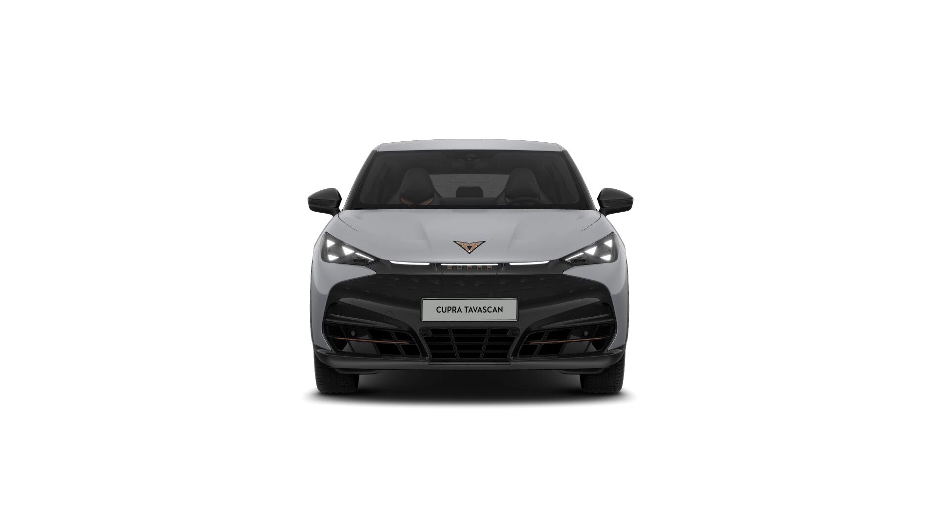 Hoofdafbeelding CUPRA Tavascan