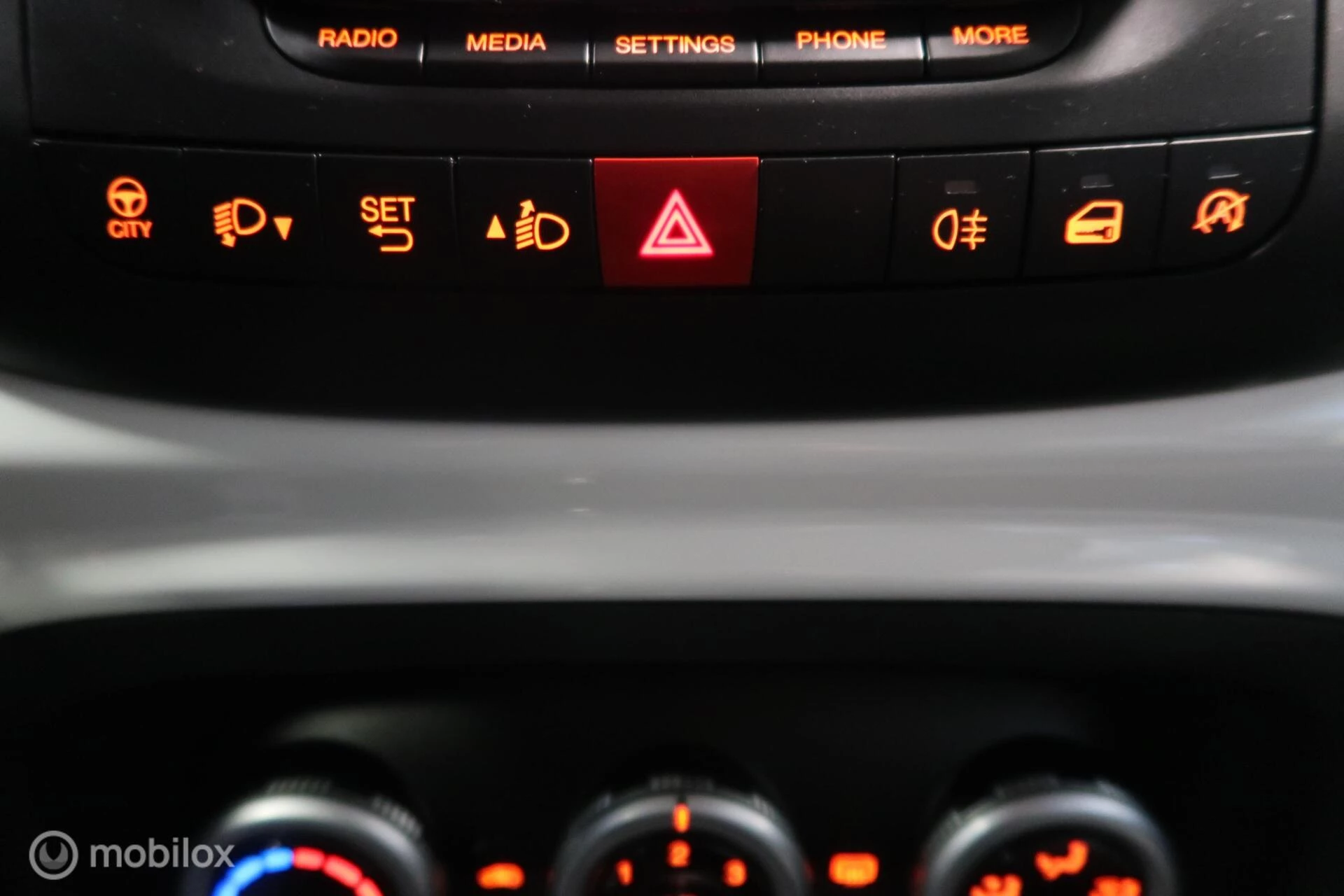 Hoofdafbeelding Fiat 500L