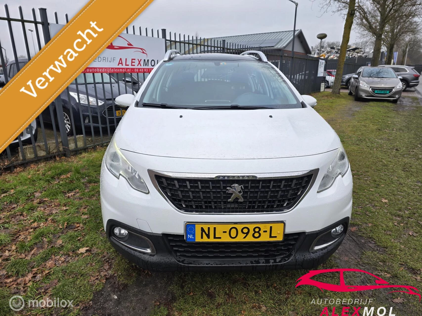 Hoofdafbeelding Peugeot 2008