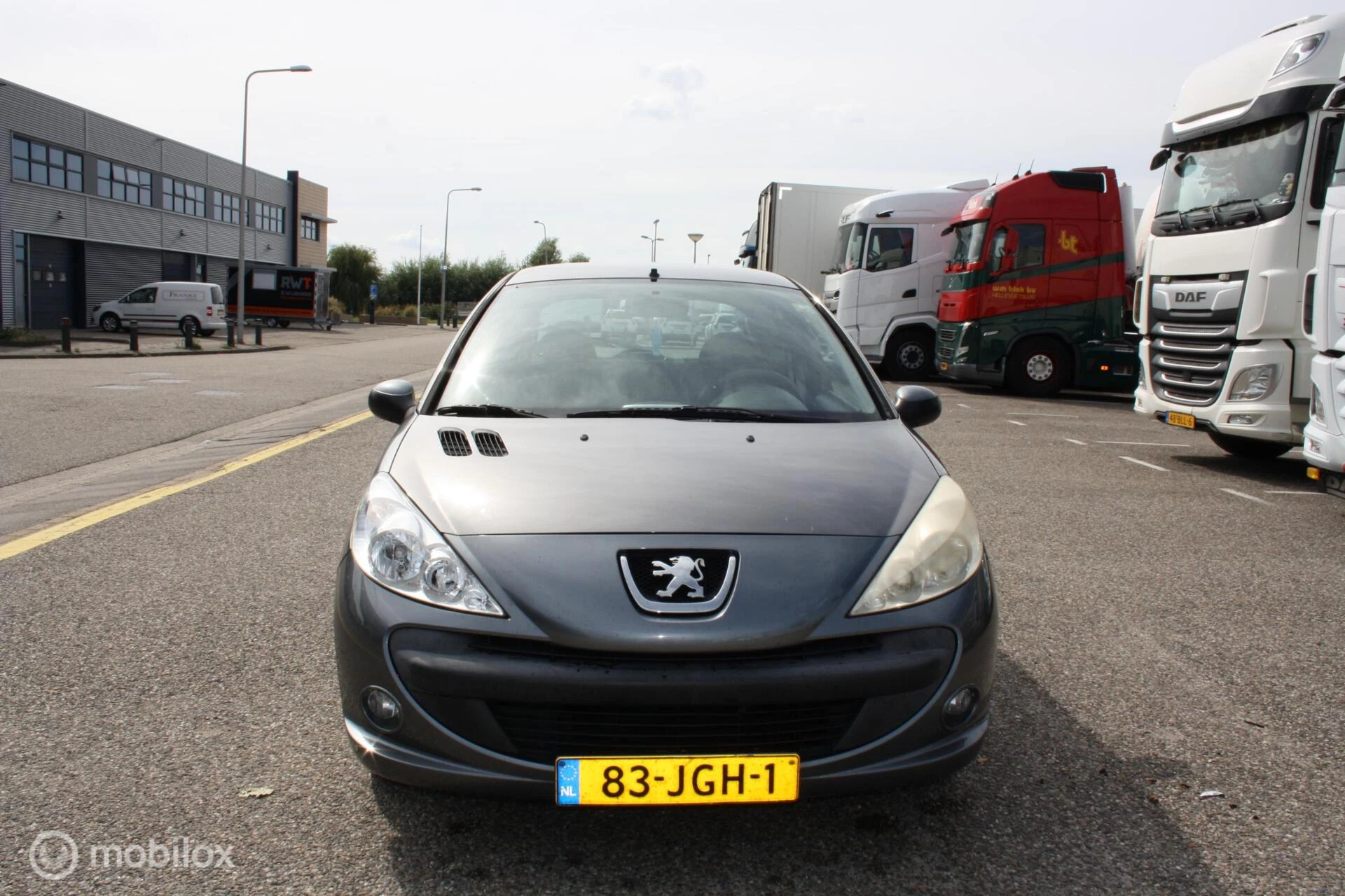 Hoofdafbeelding Peugeot 206