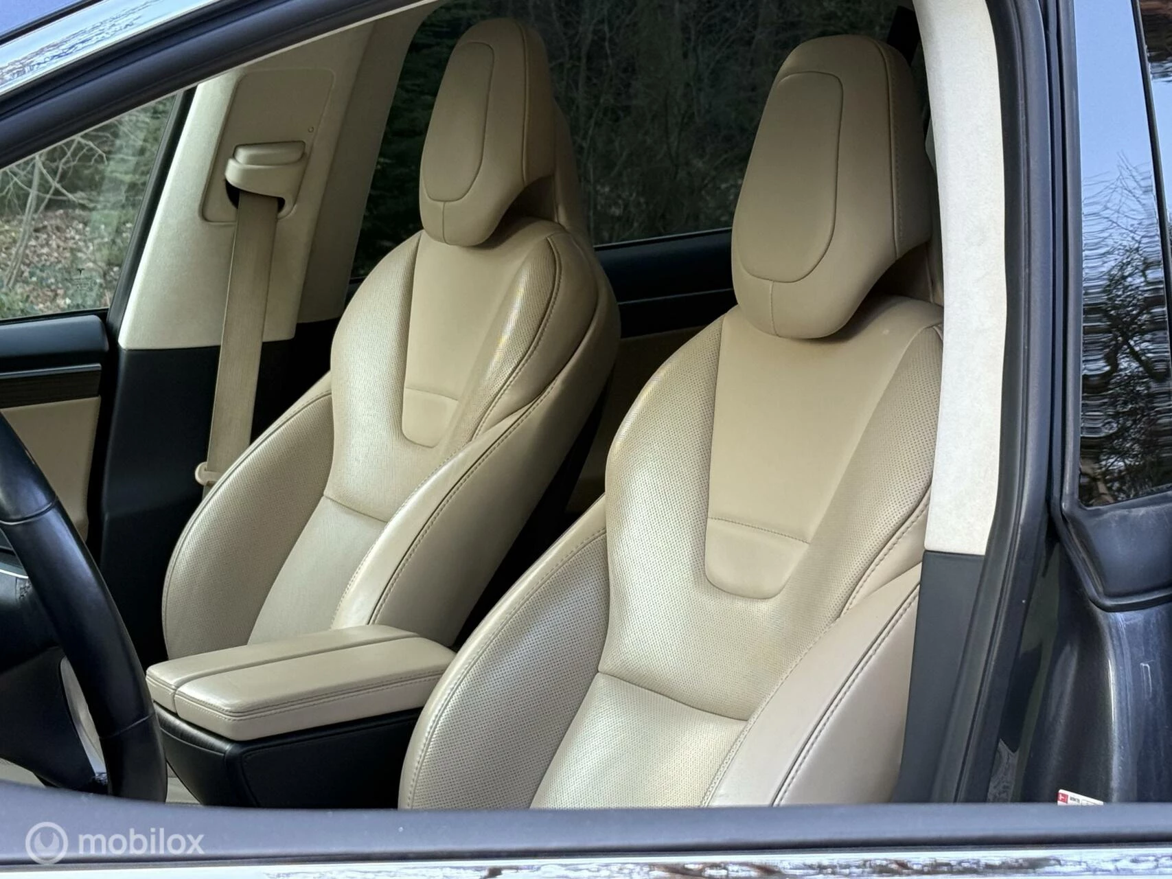 Hoofdafbeelding Tesla Model X