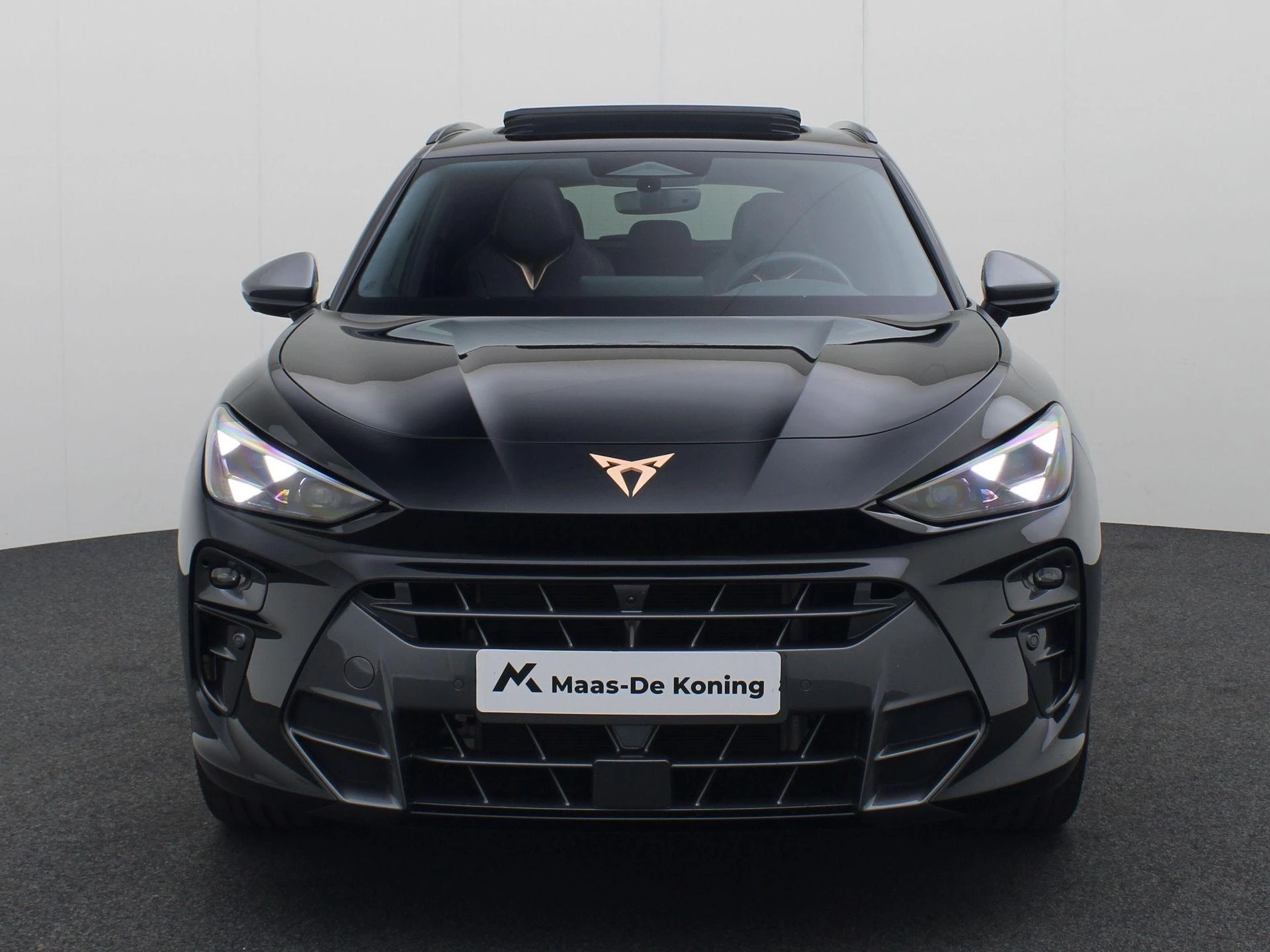 Hoofdafbeelding CUPRA Terramar