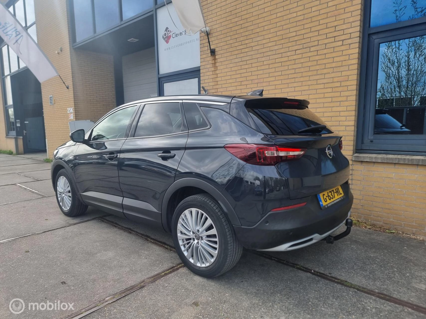 Hoofdafbeelding Opel Grandland X