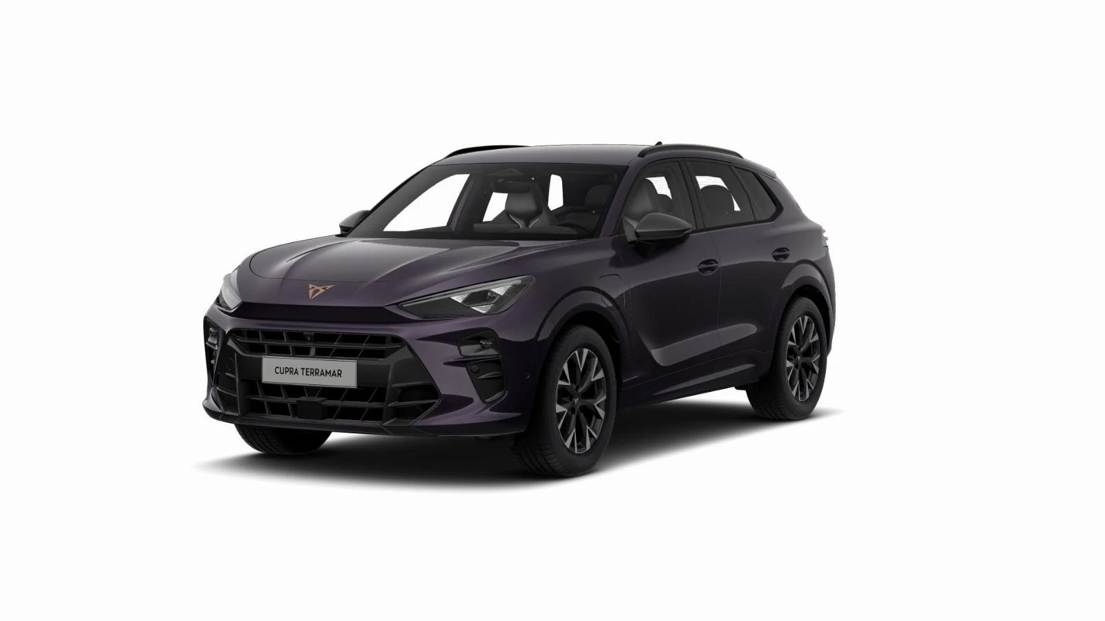 Hoofdafbeelding CUPRA Terramar