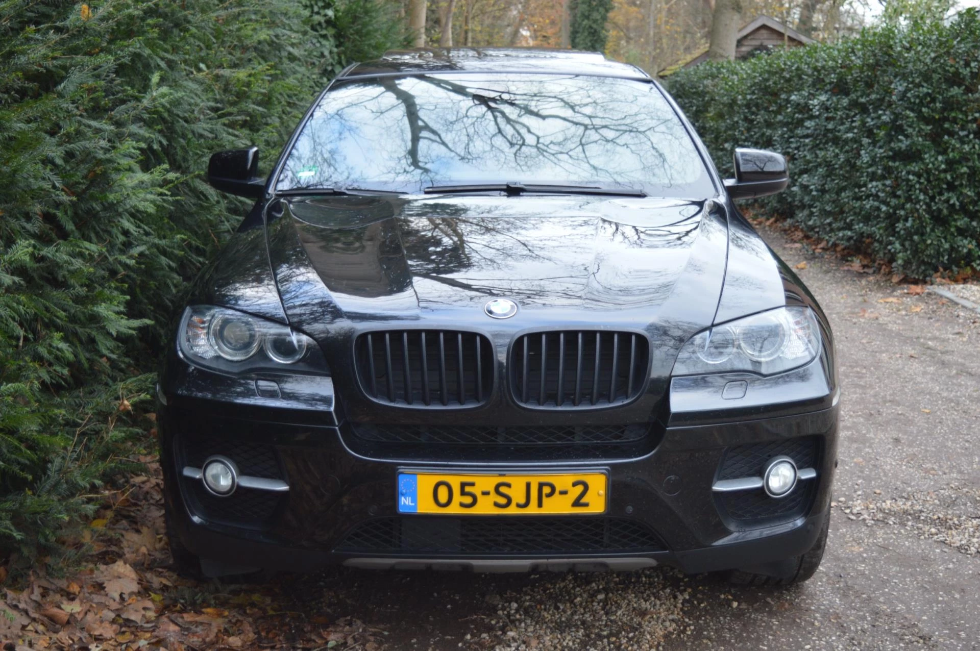 Hoofdafbeelding BMW X6