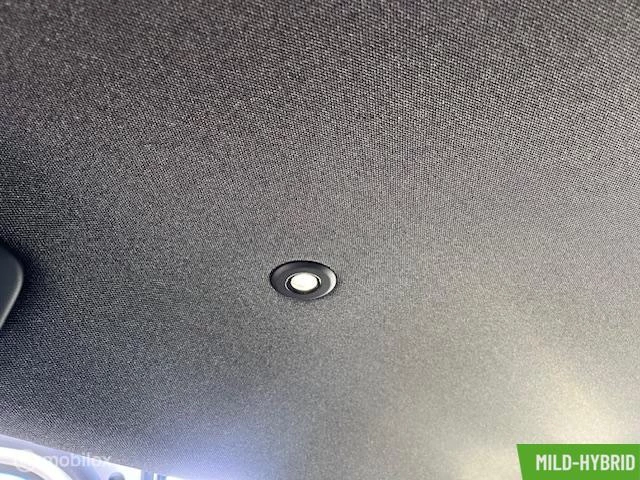 Hoofdafbeelding Renault Austral