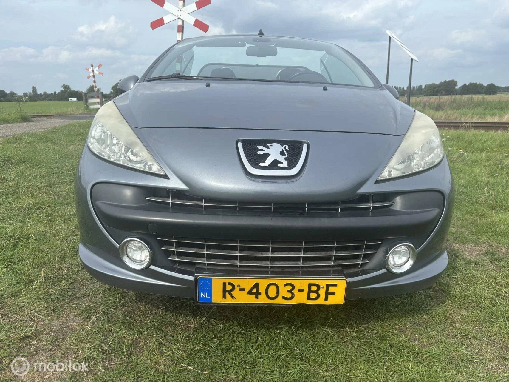 Hoofdafbeelding Peugeot 207