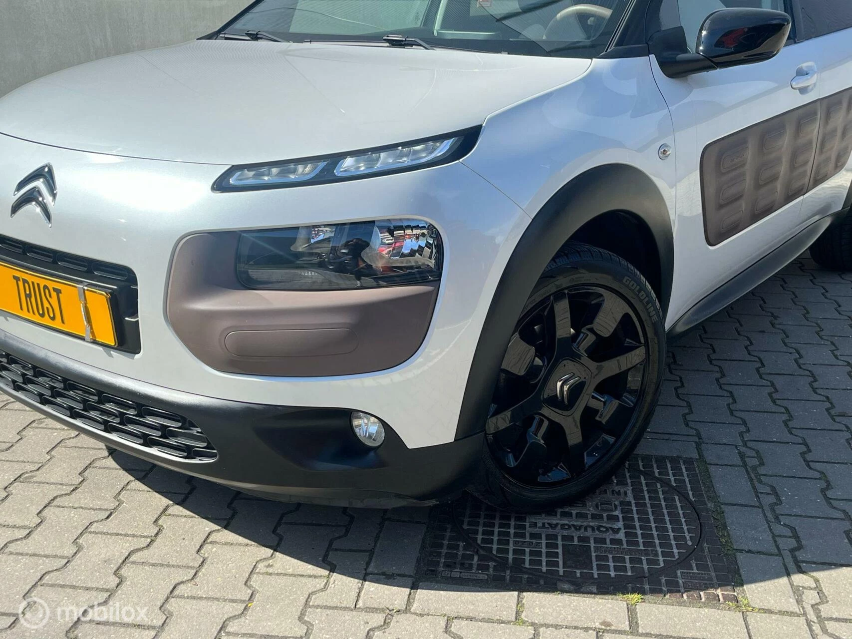 Hoofdafbeelding Citroën C4 Cactus