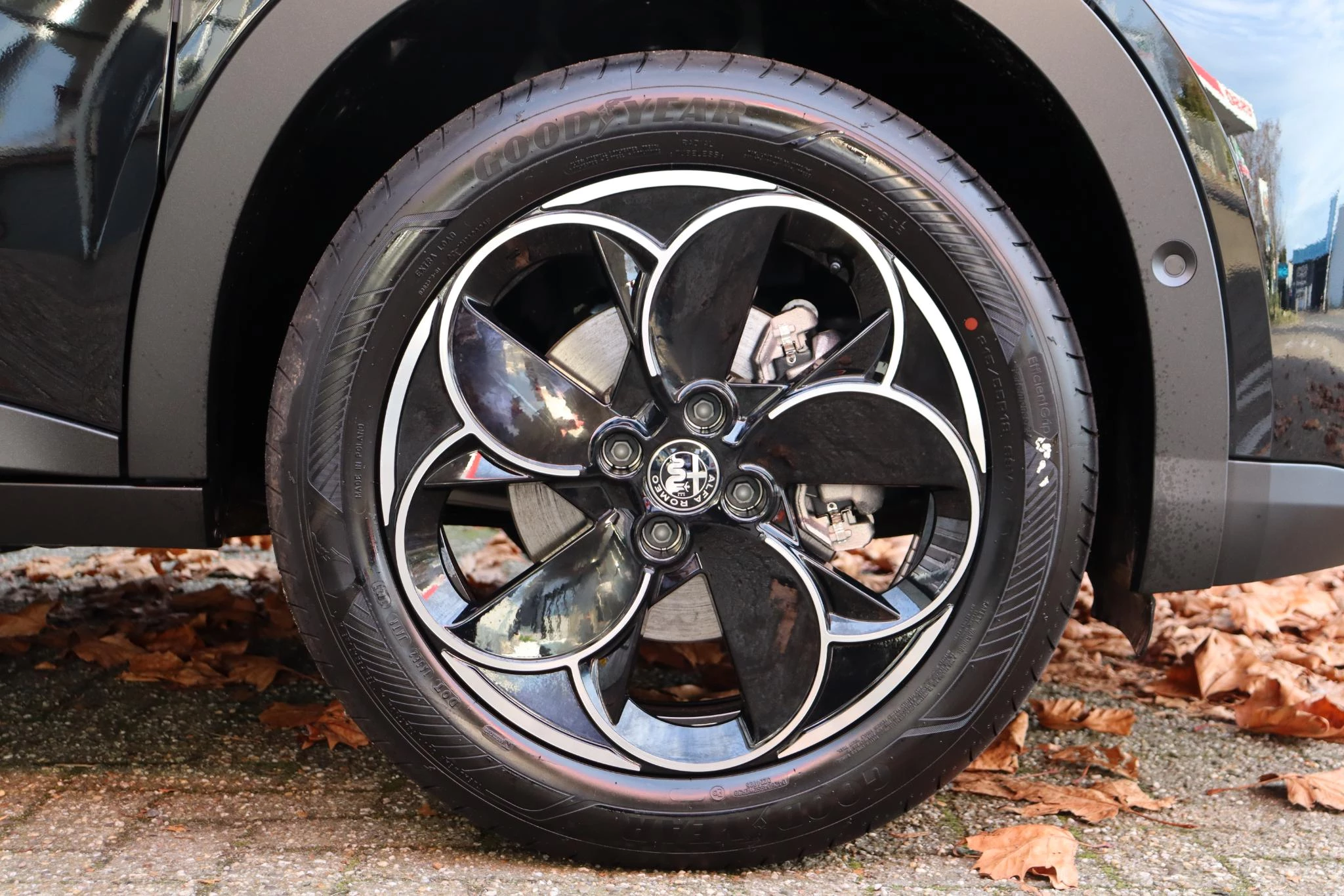 Hoofdafbeelding Alfa Romeo Junior