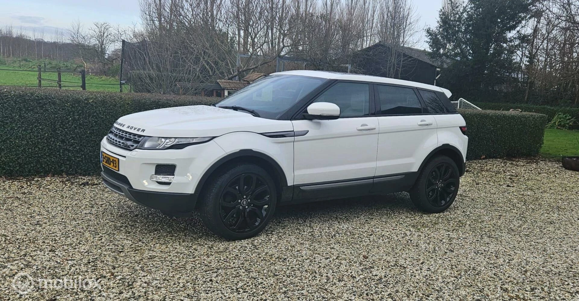 Hoofdafbeelding Land Rover Range Rover Evoque