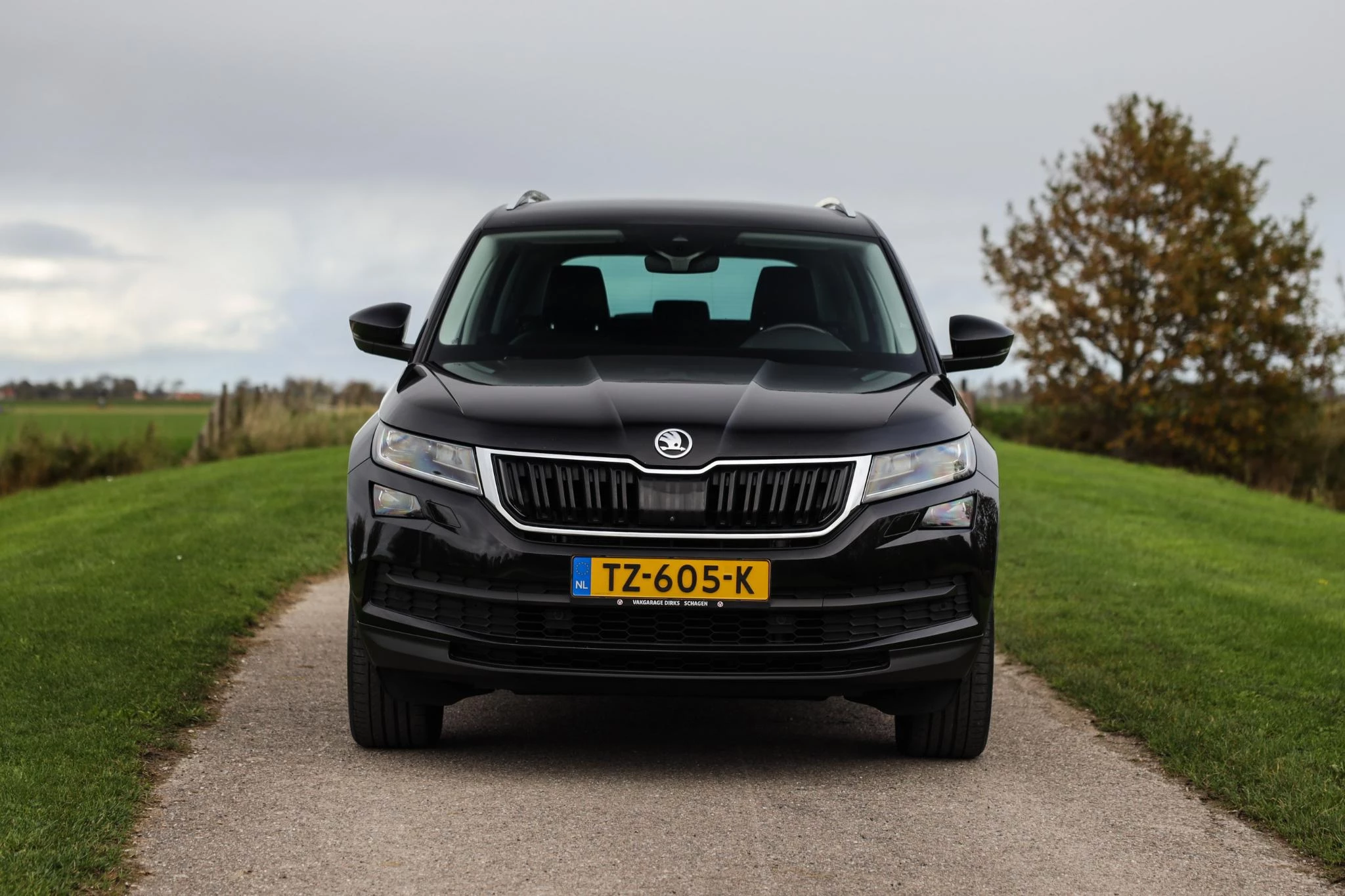 Hoofdafbeelding Škoda Kodiaq