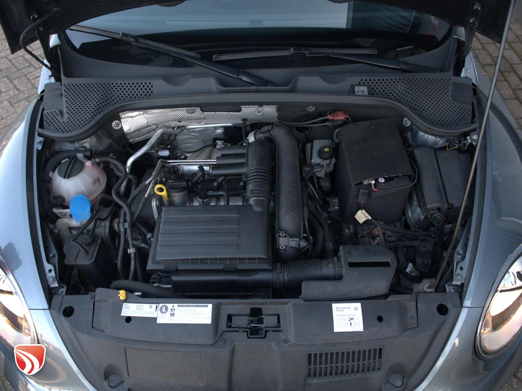 Hoofdafbeelding Volkswagen Beetle